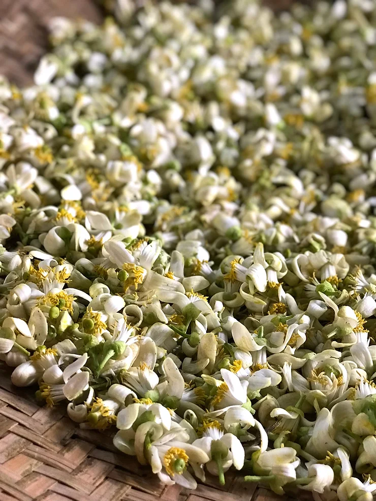 Pomelo Blossom Tea
